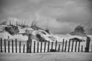 Post Hurrican Infrared Images of the dunes